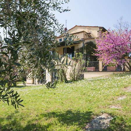 Independent Loft On Florence'S Hills Fiesole Eksteriør billede